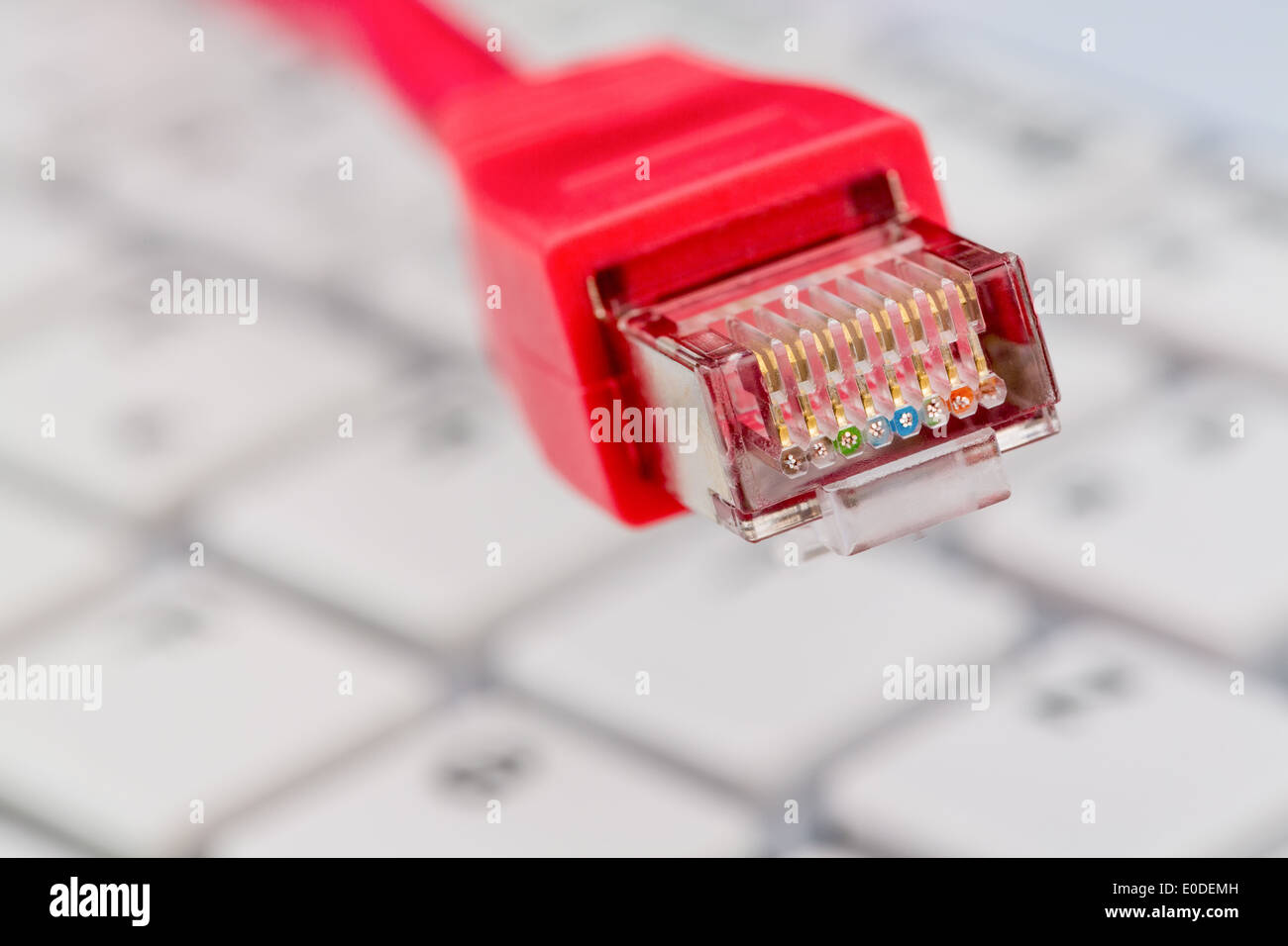 Un cable de red (roja) de un equipo. En el fondo un equipo Tastatue, Ein rotes Netzwerk Kabel eines ordenadores. Im Hintergru Foto de stock