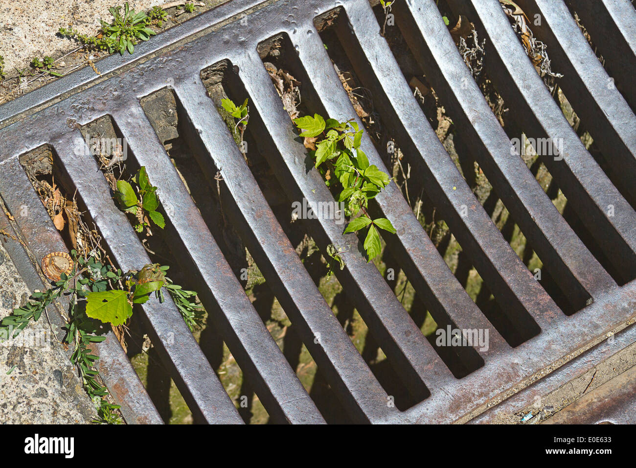 Rejilla de drenaje de aguas pluviales fotografías e imágenes de alta  resolución - Alamy