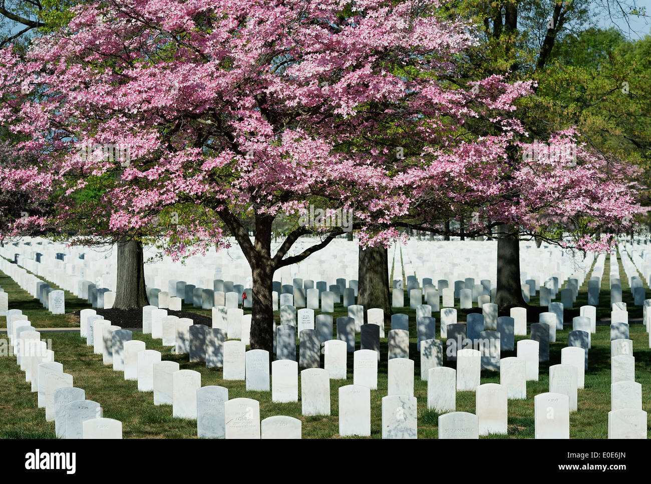 National cemetery fotografías e imágenes de alta resolución Alamy