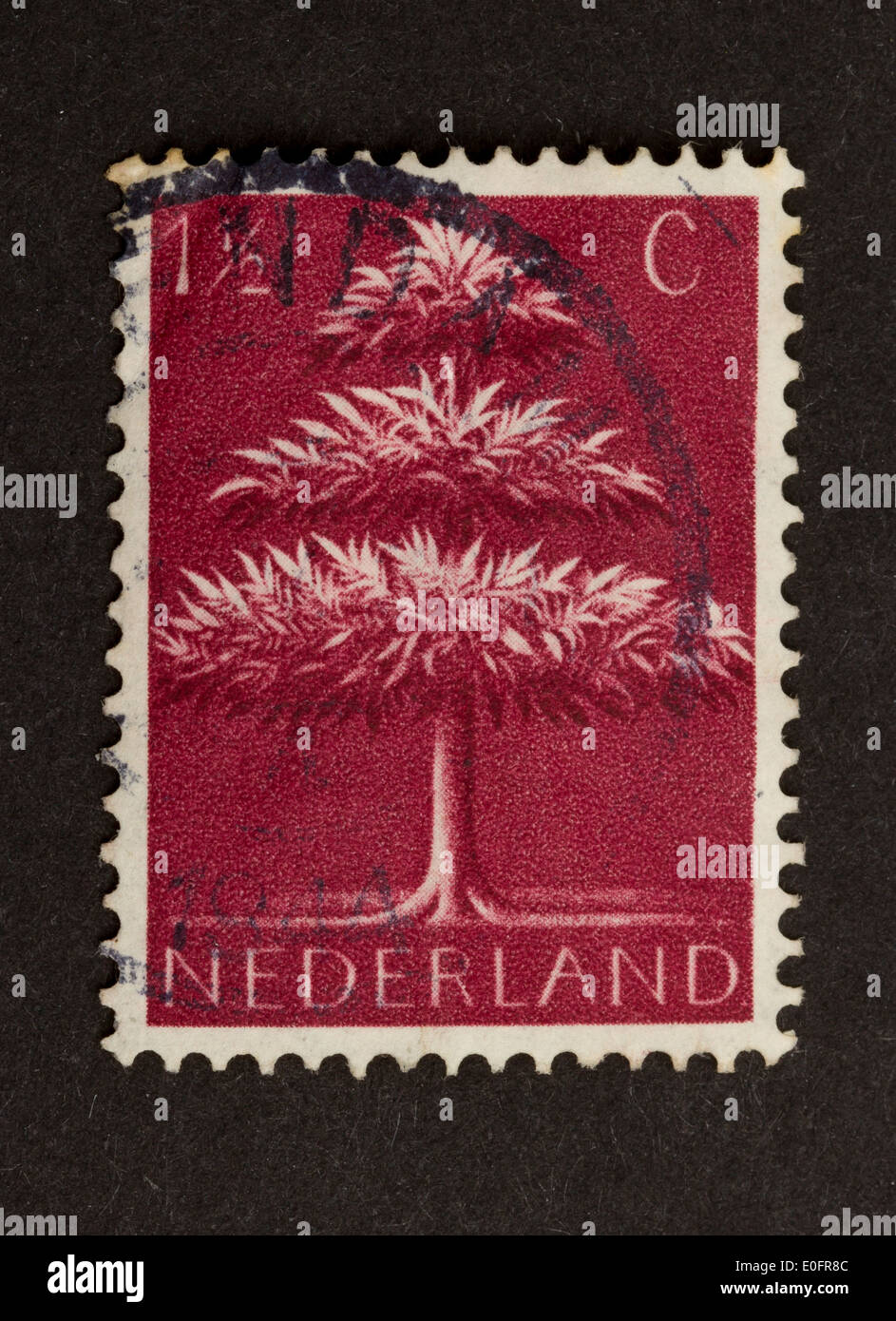 HOLLAND - circa 1940: Sello impreso en los Países Bajos muestra un árbol viejo, circa 1940 Foto de stock