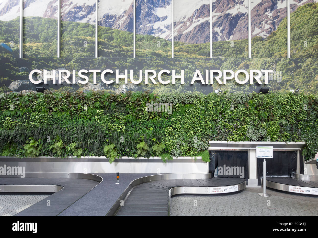 Muro viviente de plantas verdes en el aeropuerto de Christchurch, Nueva Zelanda. Área de reclamo de equipaje Equipaje con carrusel transportador vacía Foto de stock