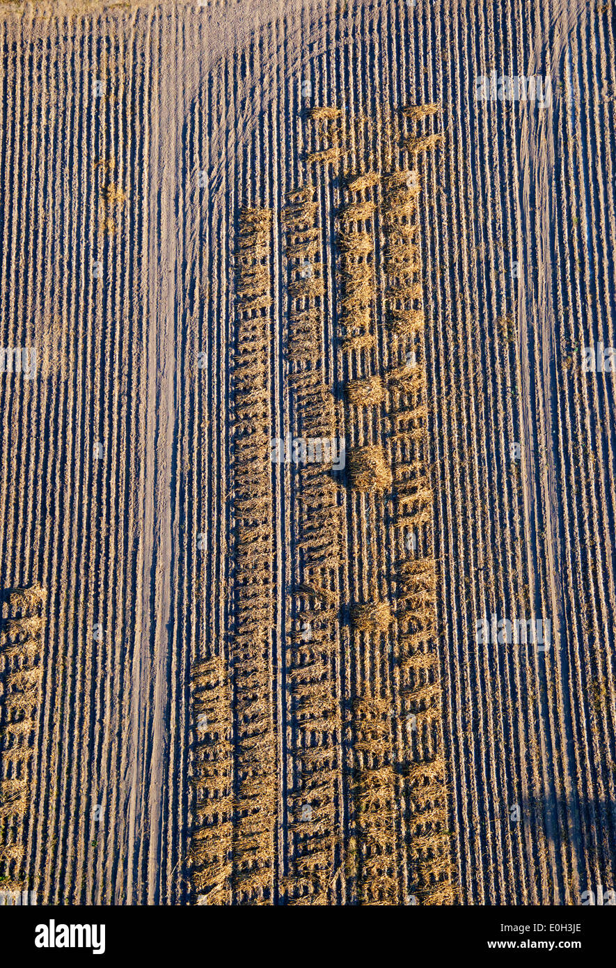 Vista aérea de la zona central de México cultivos apiladas Foto de stock