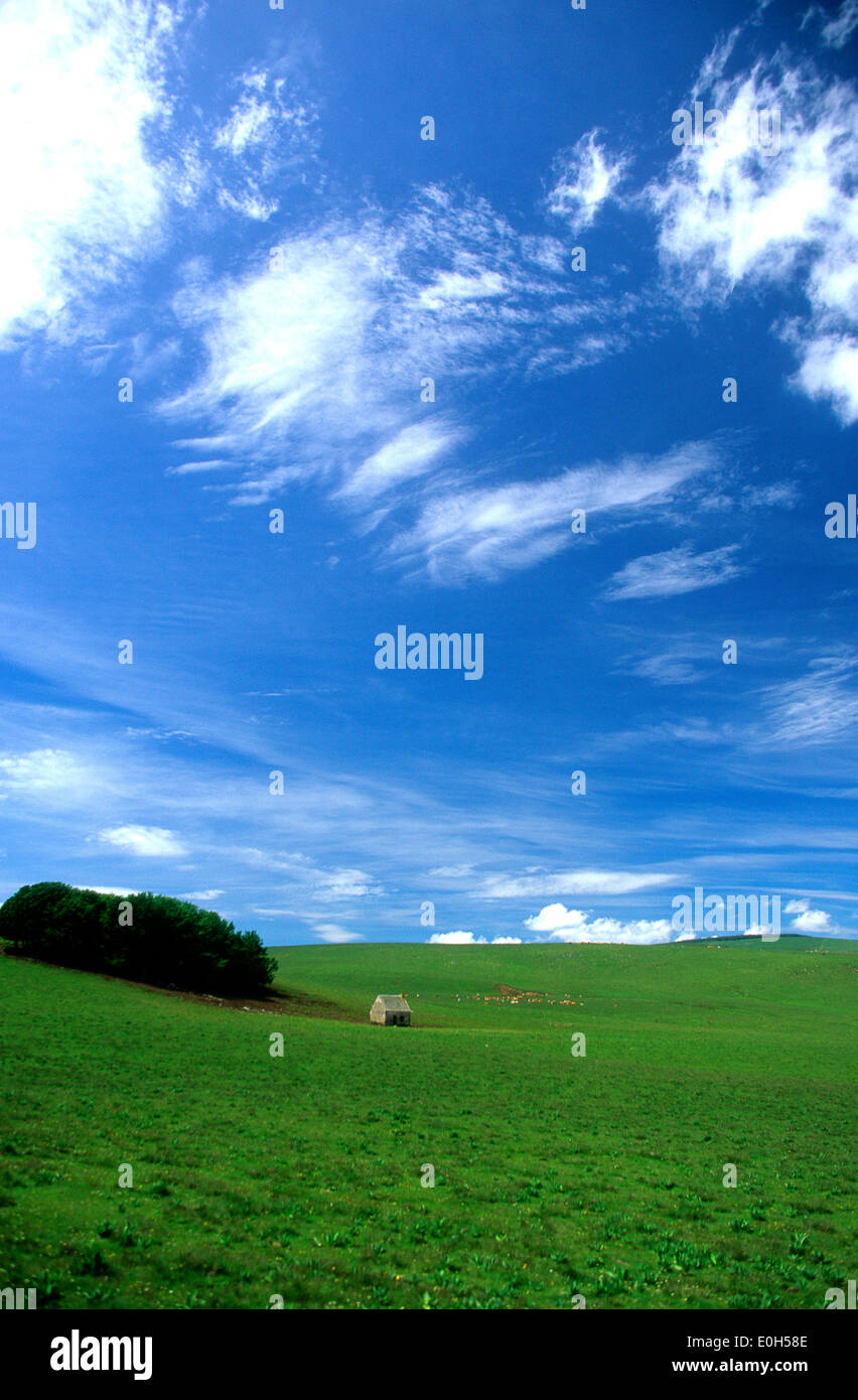 Granero en un campo verde con colinas y cielo azul Foto de stock
