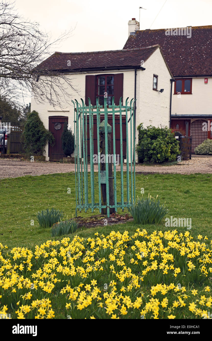 Whipping Post verde, Datchworth Datchworth, Hertfordshire, Reino