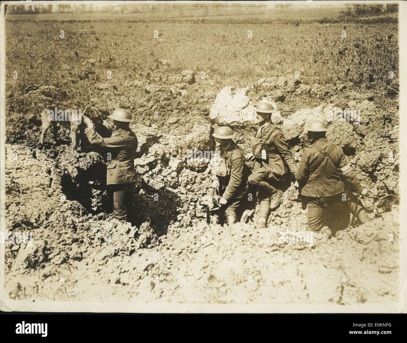 Enero 1, 1930 - La mascota del regimiento entregando una nota a una zanja distantes. El agujero del shell se utiliza como cubierta.funcionario británico. (Fecha exacta desconocida) Foto de stock