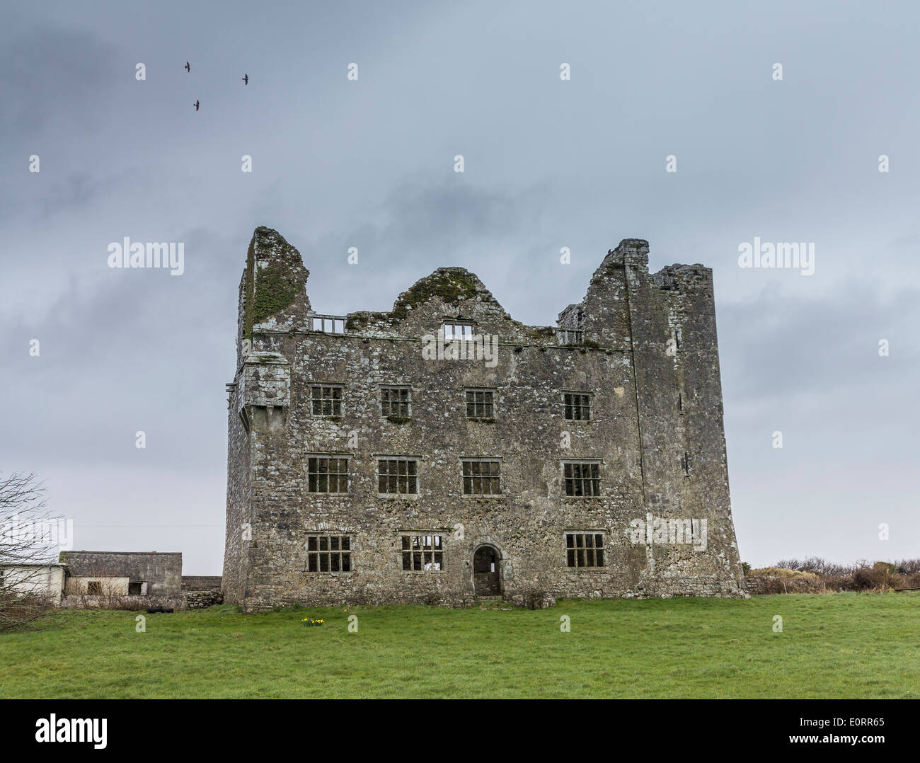 La ruina del castillo Leamaneh cerca de Burren, en el condado de Clare, República de Irlanda, Europa Foto de stock