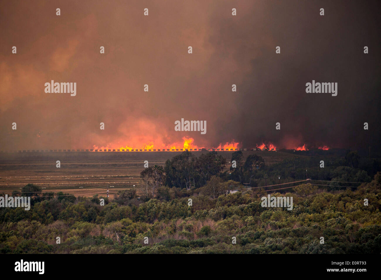 Las Pulgas wildfire quemaduras a través del campo de tiro en las colinas alrededor de la Marine Corps Air Station Mayo 16, 2014 en Camp Pendleton, California. Foto de stock