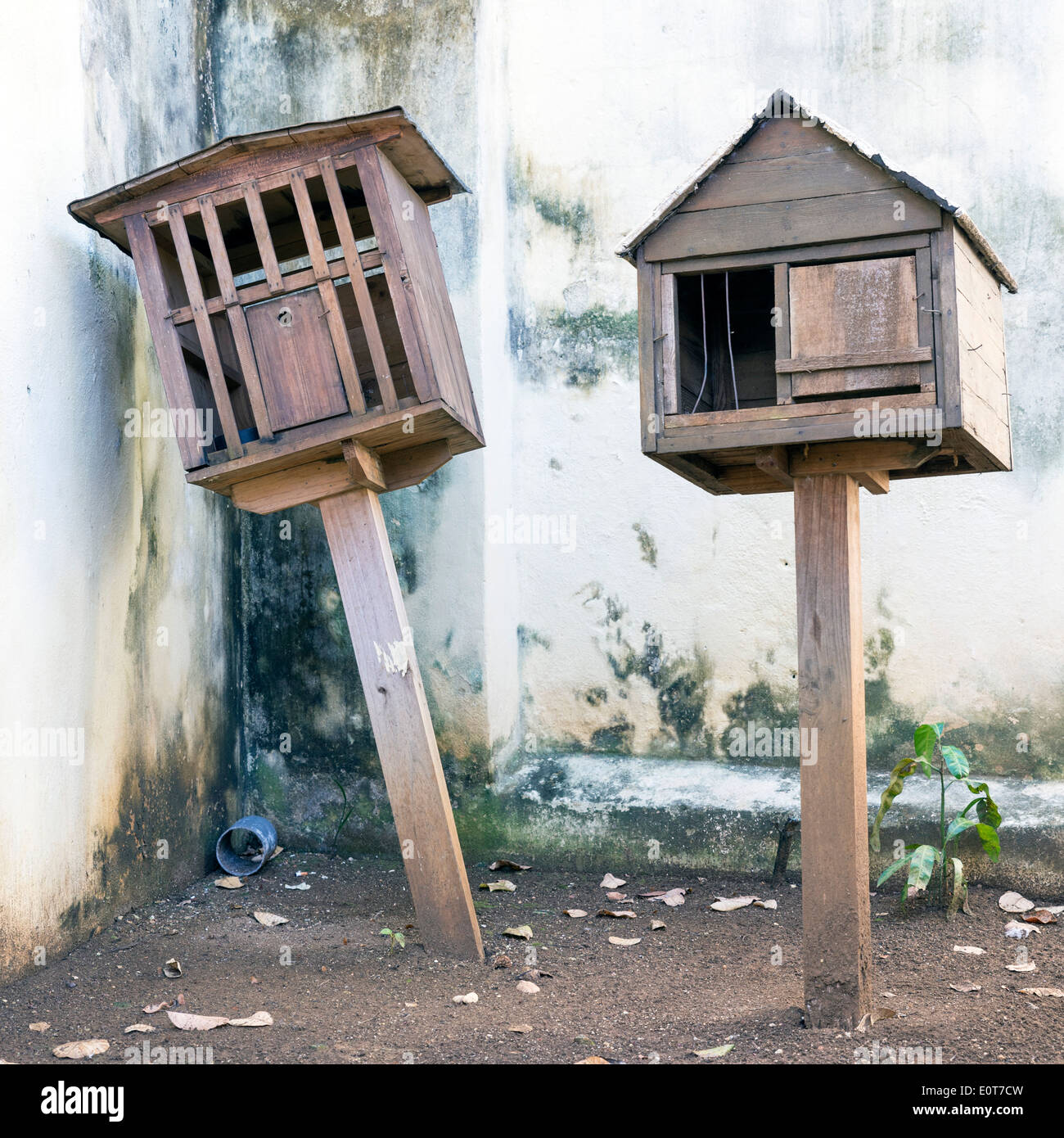 Casa de madera de dos pet Foto de stock