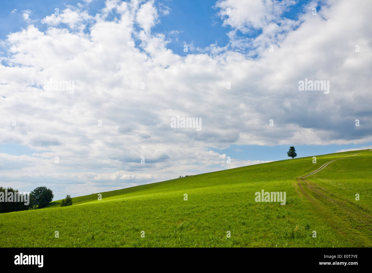 - Wiesenweg Rual forma Foto de stock