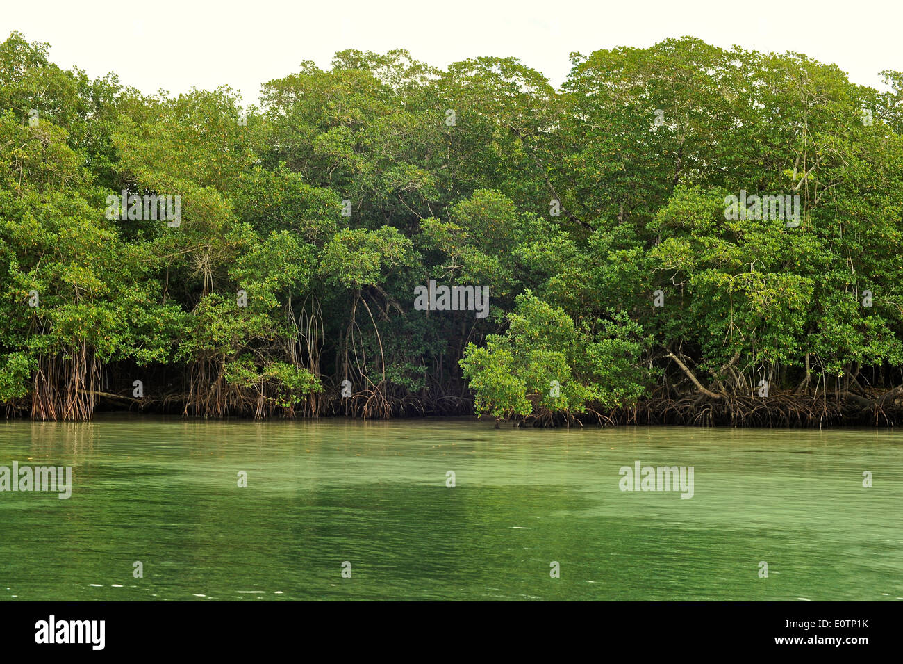 La Laguna Gri-Gri, cerca de la aldea de pescadores de Río San Juan. Foto de stock