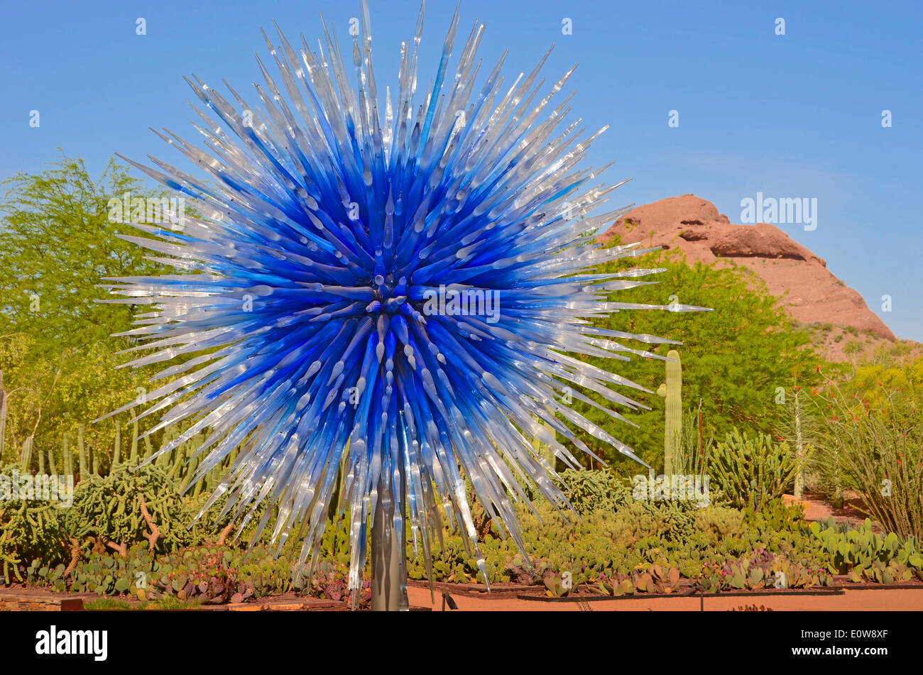 El legendario artista de vidrio Dale Chihuly expone su obra en el Desert Botanical Gardens en Phoenix, Arizona, EE.UU. durante 2014. Foto de stock