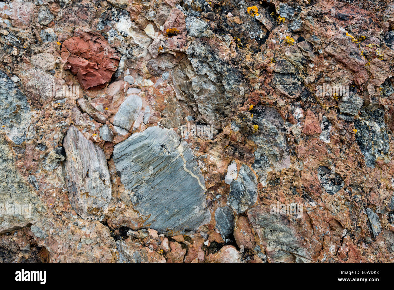 Los sedimentos que contienen óxido de hierro, conglomerados de los escombros de la Caledonian cordillera, conocida como viejo rojo Foto de stock