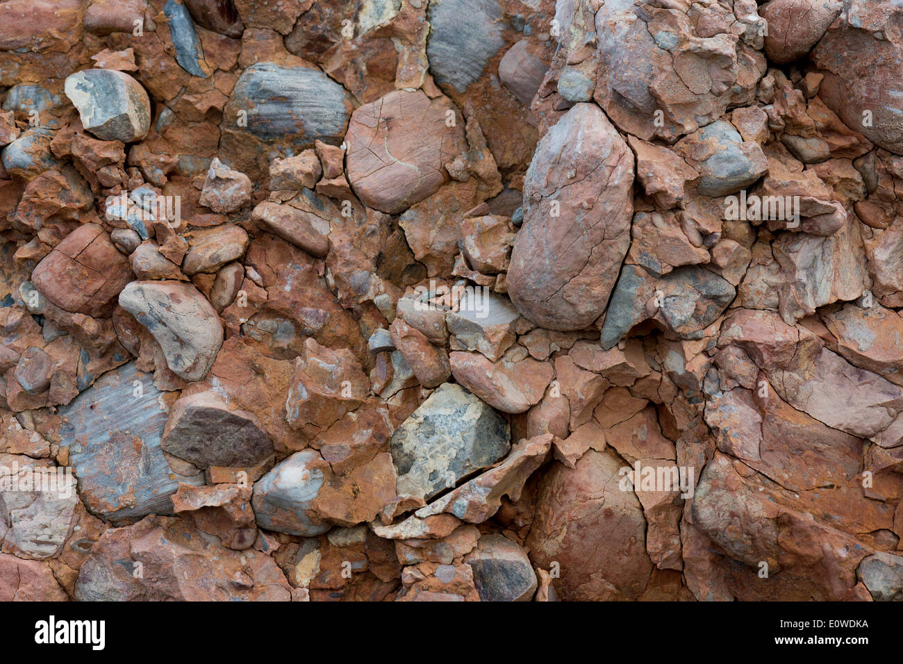 Los sedimentos que contienen óxido de hierro, conglomerados de los escombros de la Caledonian cordillera, conocida como viejo rojo Foto de stock