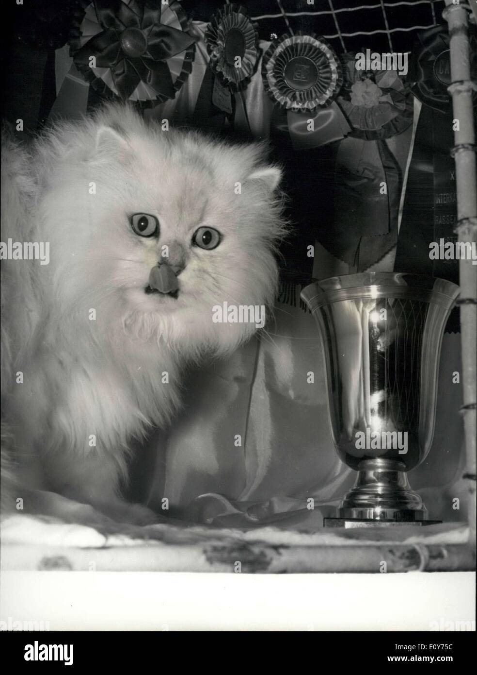 Black Cat Club Fotos E Imagenes De Stock Pagina 2 Alamy