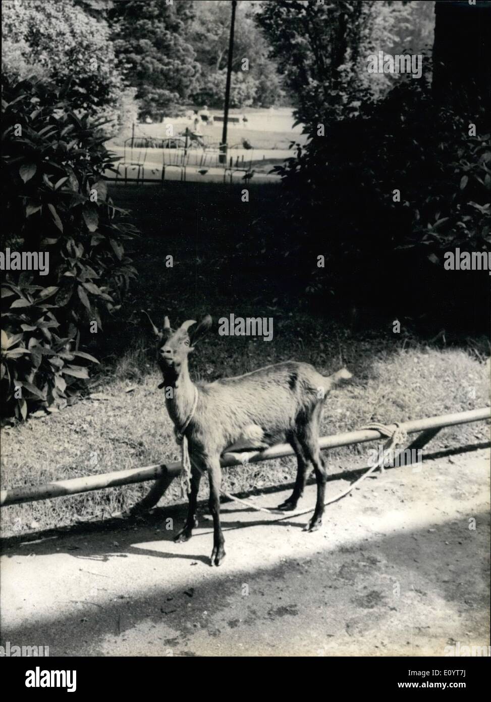 Mignonne Fotos E Imagenes De Stock Alamy