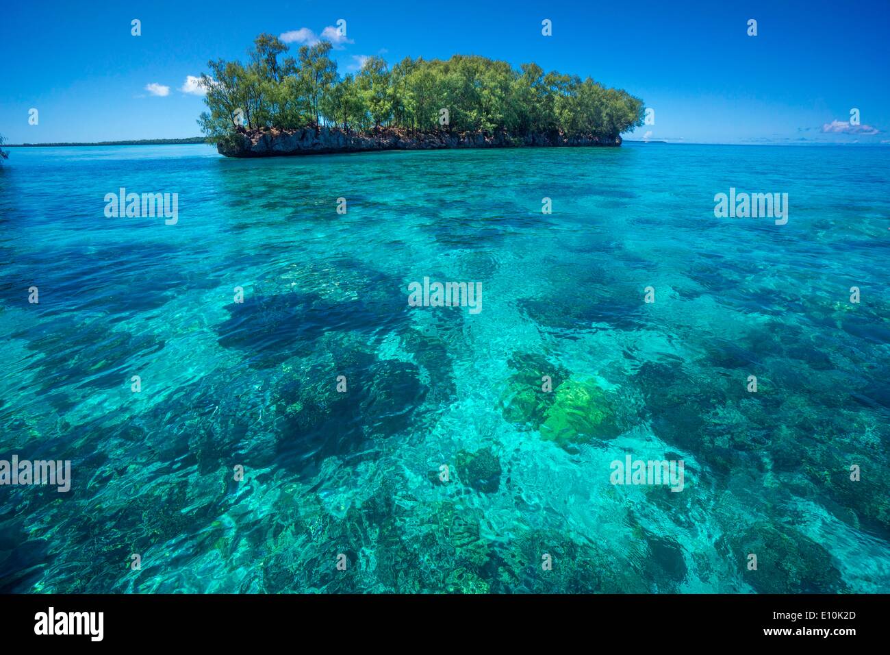 Islas Palau, Palau, Micronesia - abril de 2014 Foto de stock