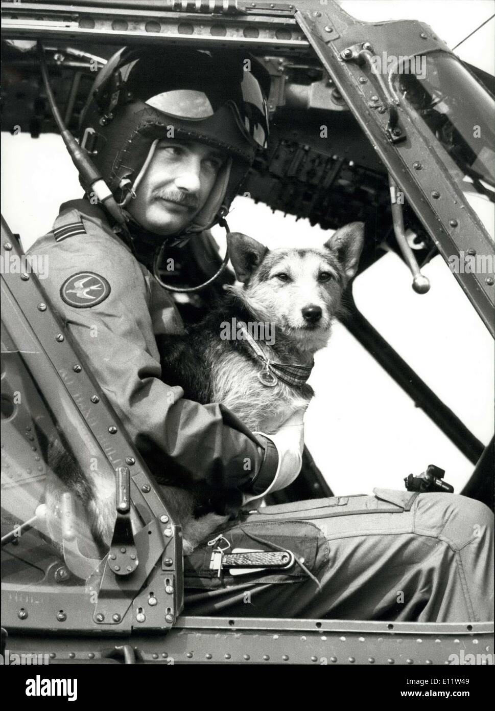 Abril 09, 1980 - El desfile de guardias galeses para decir adiós a las ratas: En Elizabeth cuarteles, campamentos de Pirbright, Brookwood' de Woking (Surrey), hoy el 1er Batallón de guardias galeses fueron en un desfile para decir adiós a las ratas las mestizas (Corgie/Terrier?), que ha sido retirado en el consejo veterinario, ratas está pensado para ser de 8 años y gran parte de su vida ha transcurrido con las compañías en Crossmaglen roulement sur de Armagh, en Irlanda del Norte. En diciembre del año pasado fue condecorado con la medalla de oro para perros Pro el perro más dedicado al servicio y fue dado permiso para volver a Londres para la presentación Foto de stock