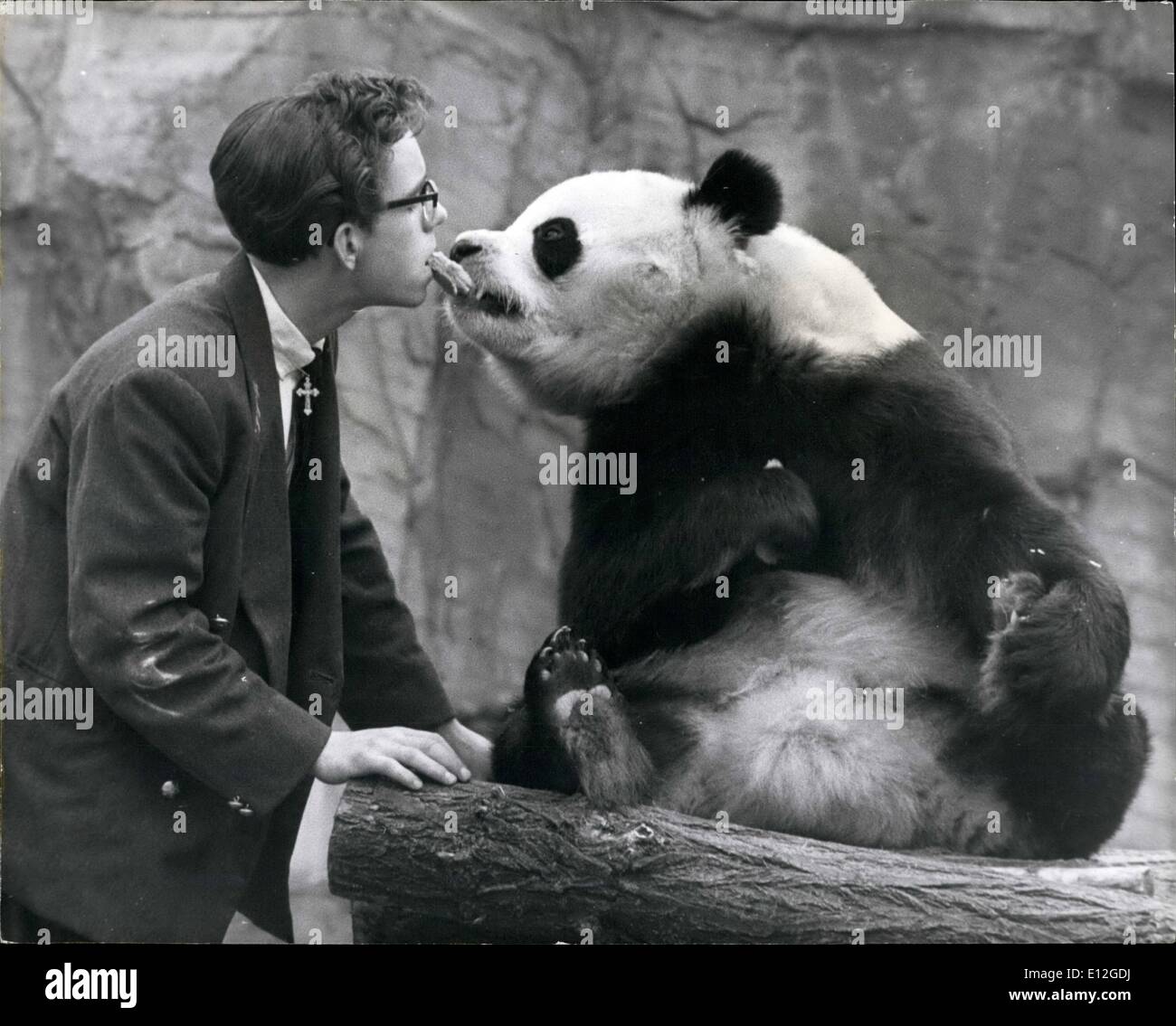 Enero 10, 2012 - Los guardianes tienen que jugar con Chi-Chi el Panda para  detener él solo. Chi-Chi el panda gigante en el Zoo de Londres a veces  puede ser bastante incómodo