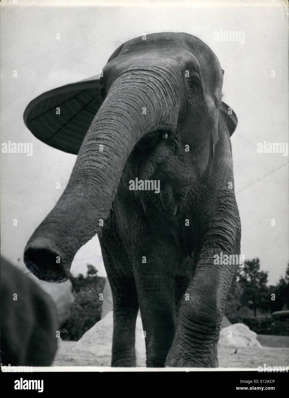 El 24 de febrero, 2012 - El 3-D Elefante!: La ululante tronco parece que se  va a girar hacia la derecha de la imagen y los pies a un ritmo lento, pesado