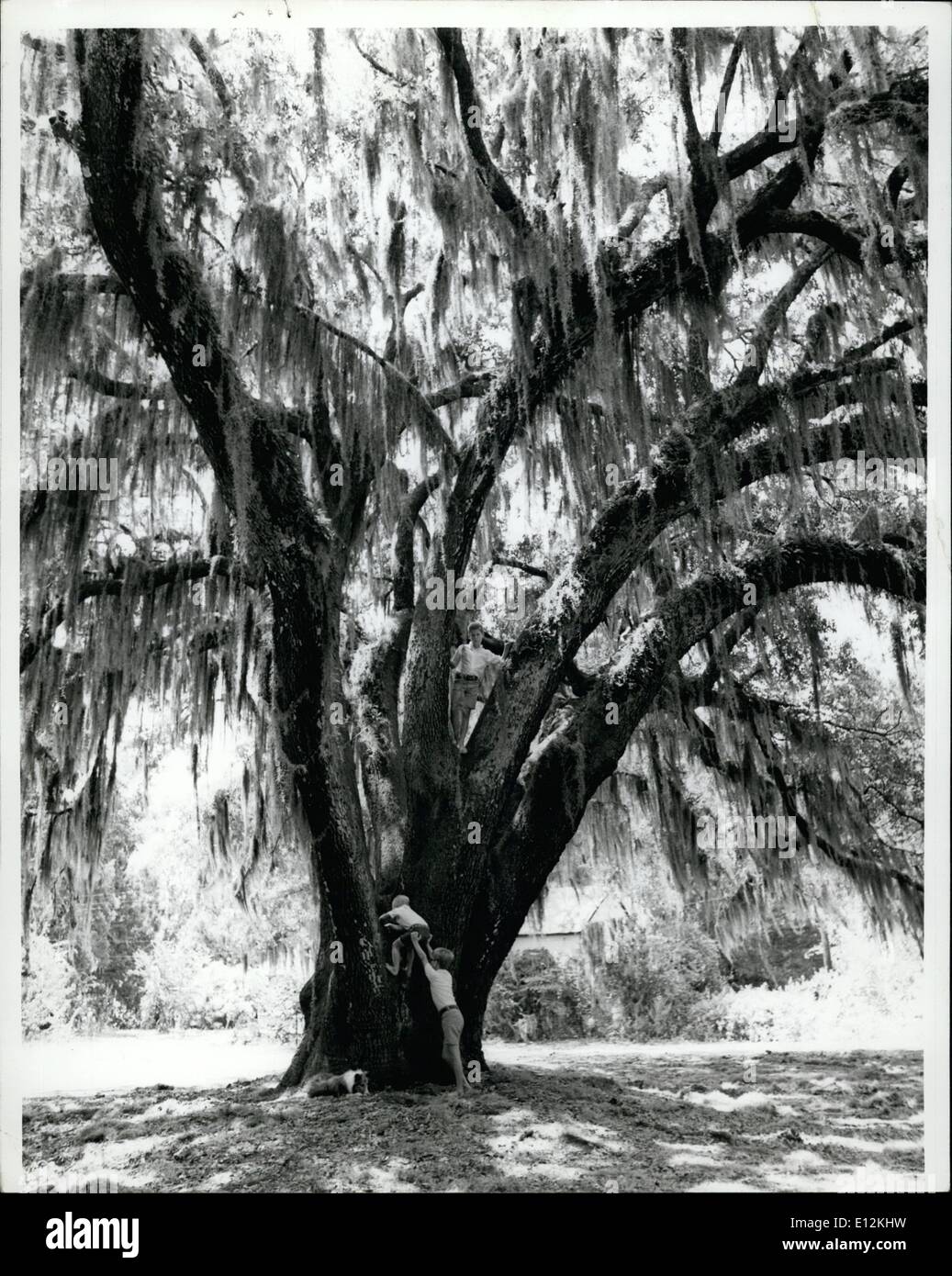Febrero 24, 2012 - Un árbol te ama la ecología-conciencia se ha extendido a todos los aspectos de la vida. Strickers diciendo .Un árbol le ama. Foto de stock