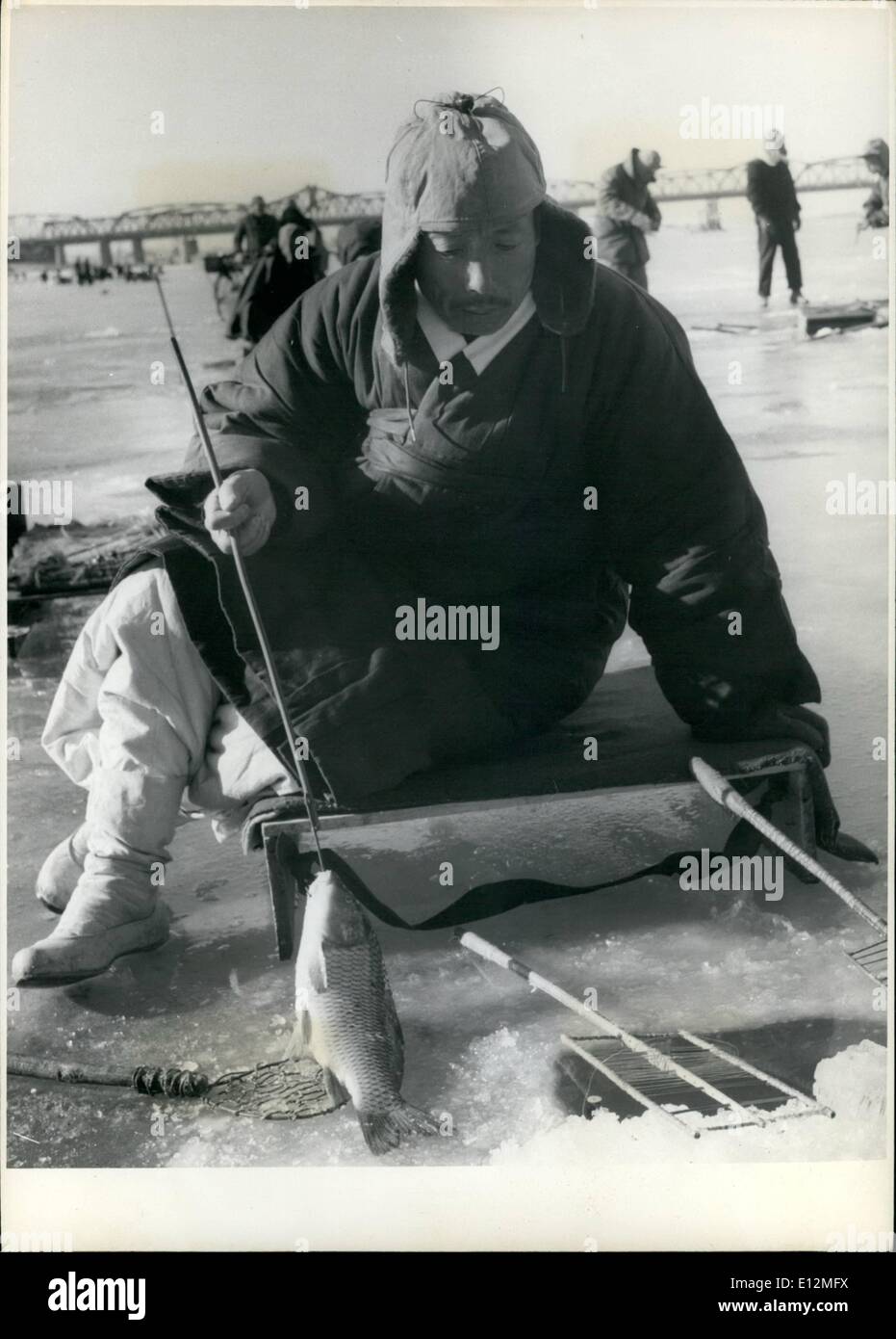 Febrero 24, 2012 - Un pescador coreano respecto a una multa la carpa que acaba gaffed desde su agujero de hielo. Foto de stock