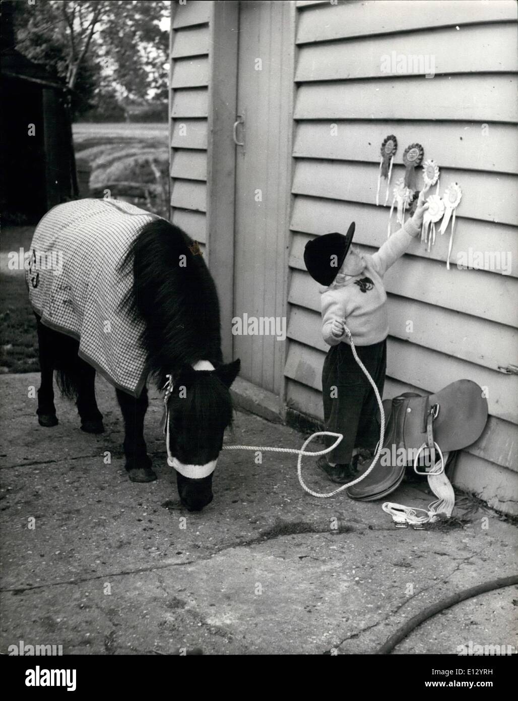 El 26 de febrero de 2012 - La pequeña de 18 meses de cowgirl, Karen Stock, muestra sus cintas y mantiene la cuerda a su pony Shotland Johnny. Foto de stock