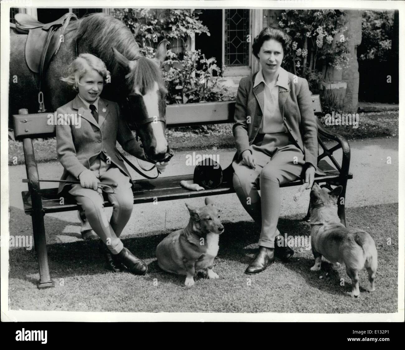 El 26 de febrero de 2012 - La Reina, la princesa, el pony y corgis. Su Majestad la Reina en un estudio muy informal, asentado en los terrenos en Frogmore, Windsor, con su hija, la Princesa Ana, el pony Welsh Corgis Greensleeves, y el whisky y el azúcar (Studio lisa) Foto de stock