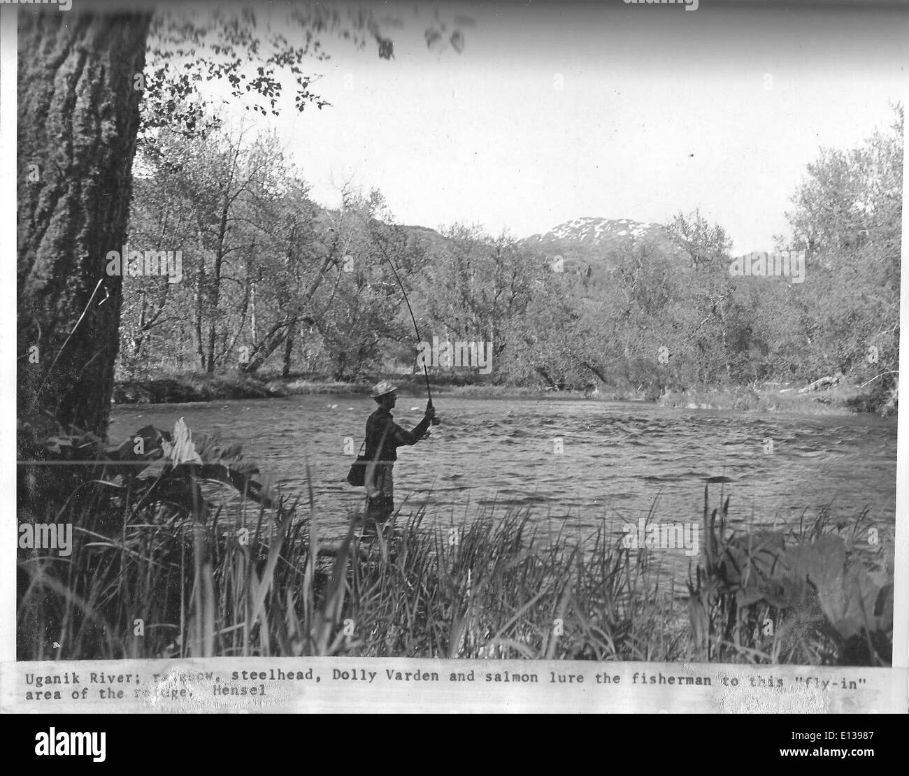 (1970) La Pesca en río Uganik Foto de stock