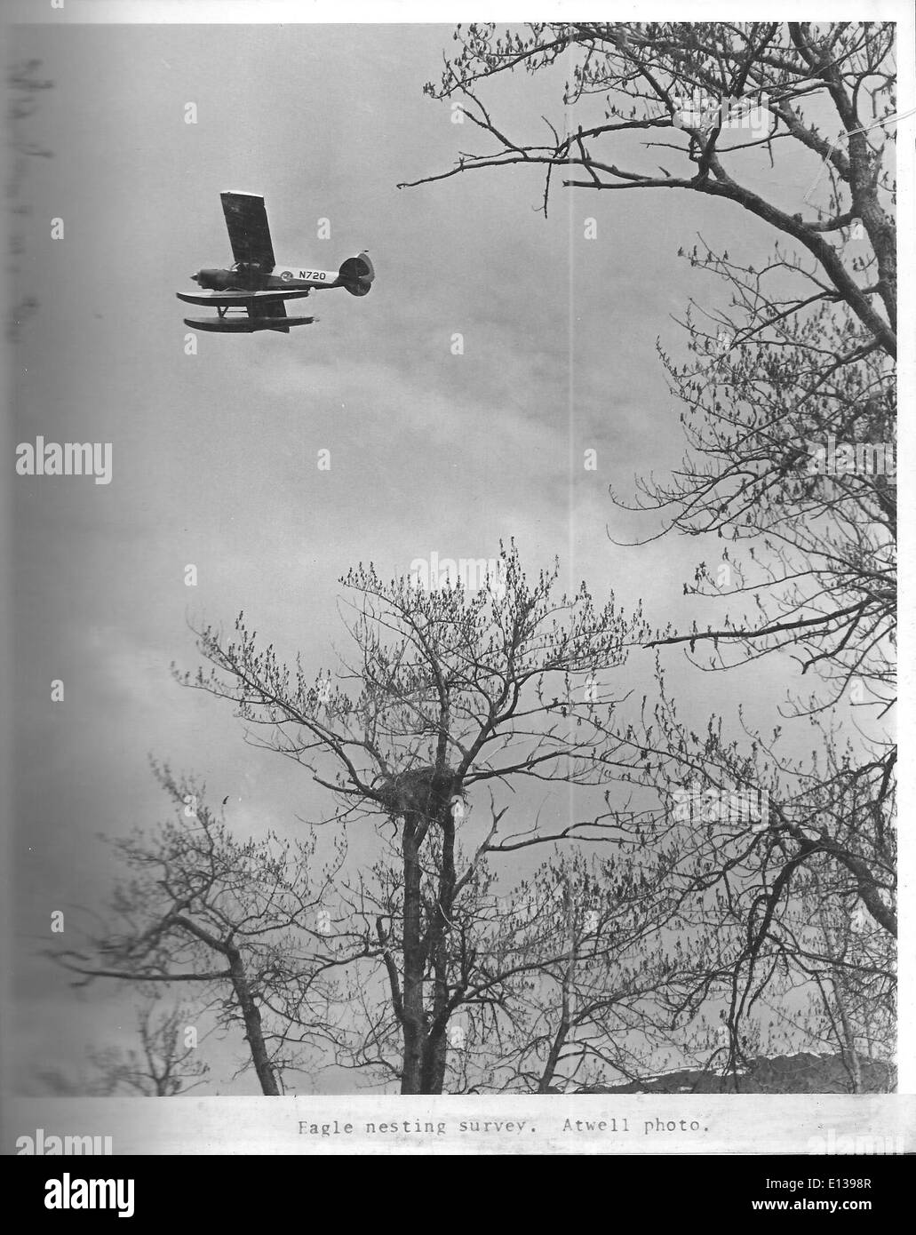 (1972) nido de águila Fly-By Foto de stock