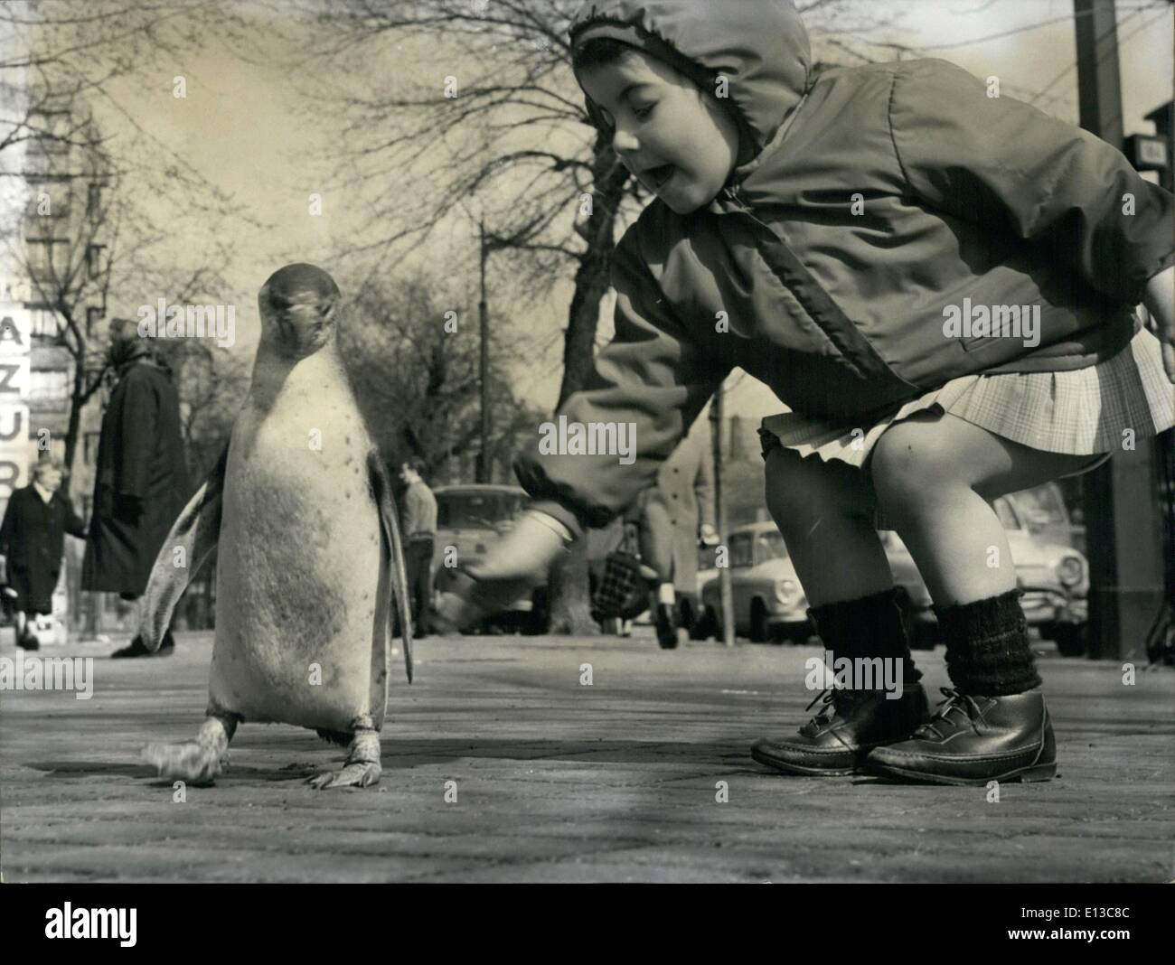 Marzo 02, 2012 - Oscar el Pinguin toma un paseo. Un Pinguin paseando con orgullo en las calles de Paris es un lugar inusual de vista, sin embargo, esto es lo que los parisinos viven en la Porte d'Italie sección puede ver cada mañana. Como ''Oscar'' tiene su paseo diario, un diminuto segura de sí misma cosa entre los transeúntes. ''Oscar'' pertenecen a un tendero quien compró el pájaro del zoológico, criólo y ''uno más de la familia''. OPS: una niña dice ''Hola'' a Oscar. Foto de stock