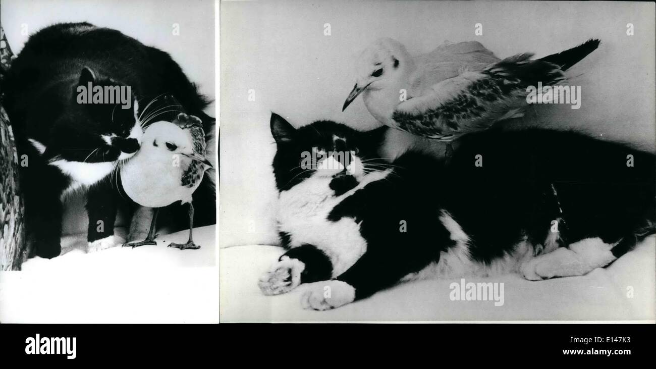 Abril 16, 2012 - enemigos naturales se han convertido en amigos cercanos: un gato y un pájaro siendo amigos cercanos es algo bastante inusual. Pero Foto de stock