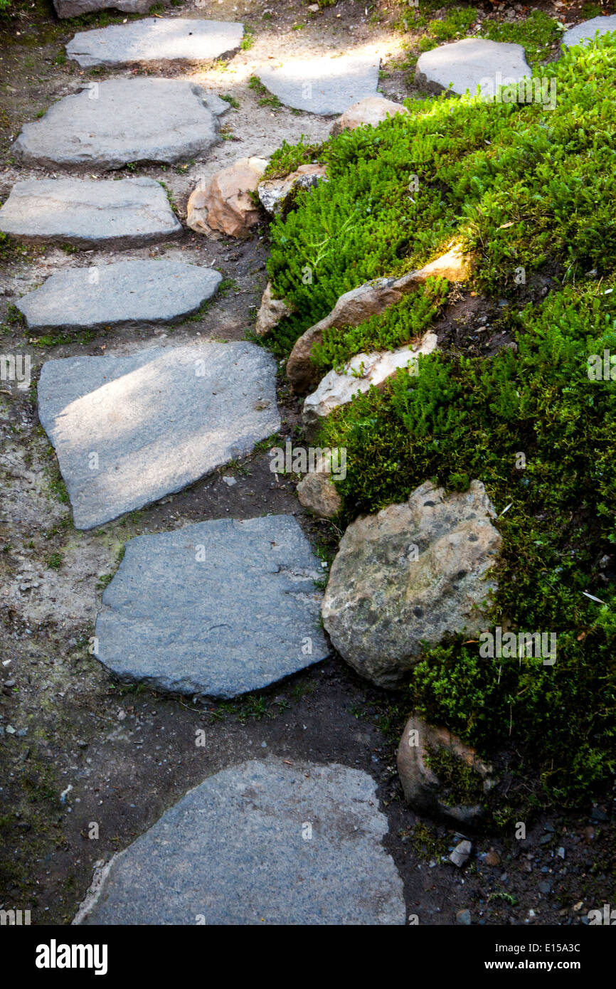 Y piedras en el camino del jardín de césped verde césped Foto de stock