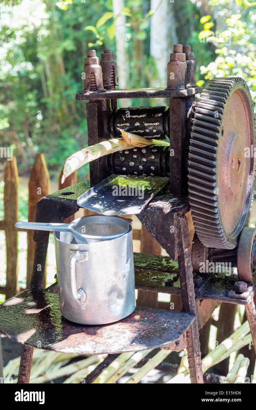 Máquina de jugo de caña de azúcar fotografías e imágenes de alta resolución  - Alamy
