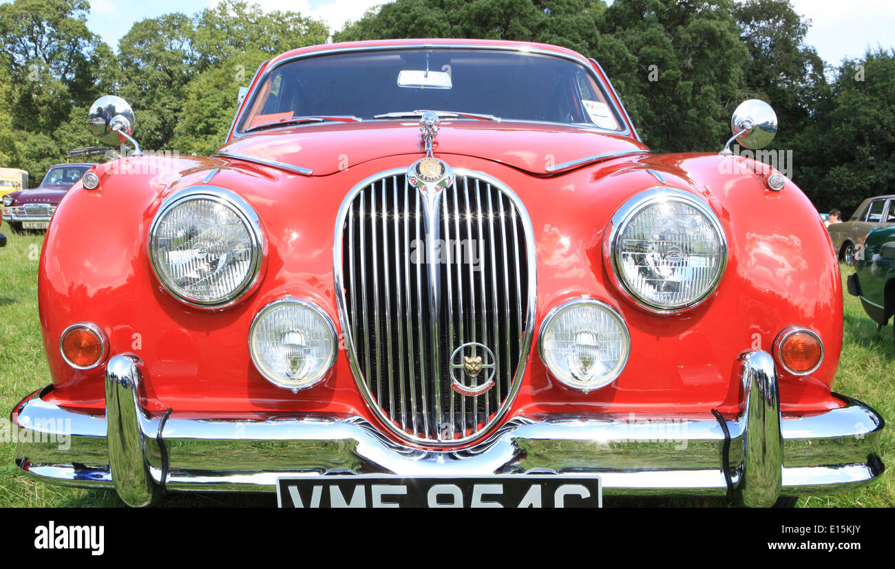 Un Jaguar en el Classic Car Show Boconnoc Estate cerca Lostwithiel Cornwall Foto de stock