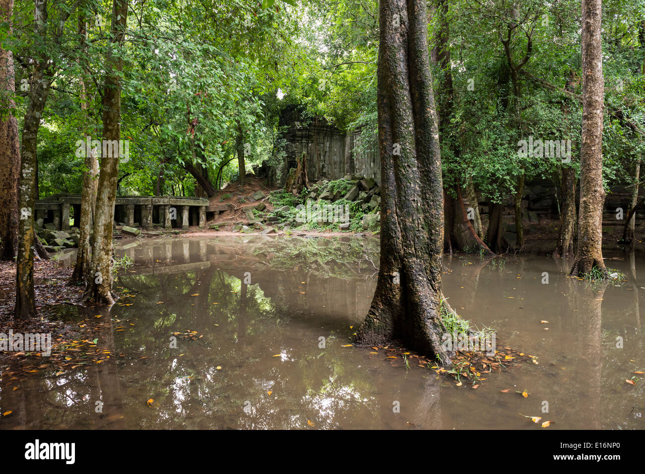 Ruinas de Beng Mealea templo de Angkor, Siem Reap, Camboya Foto de stock