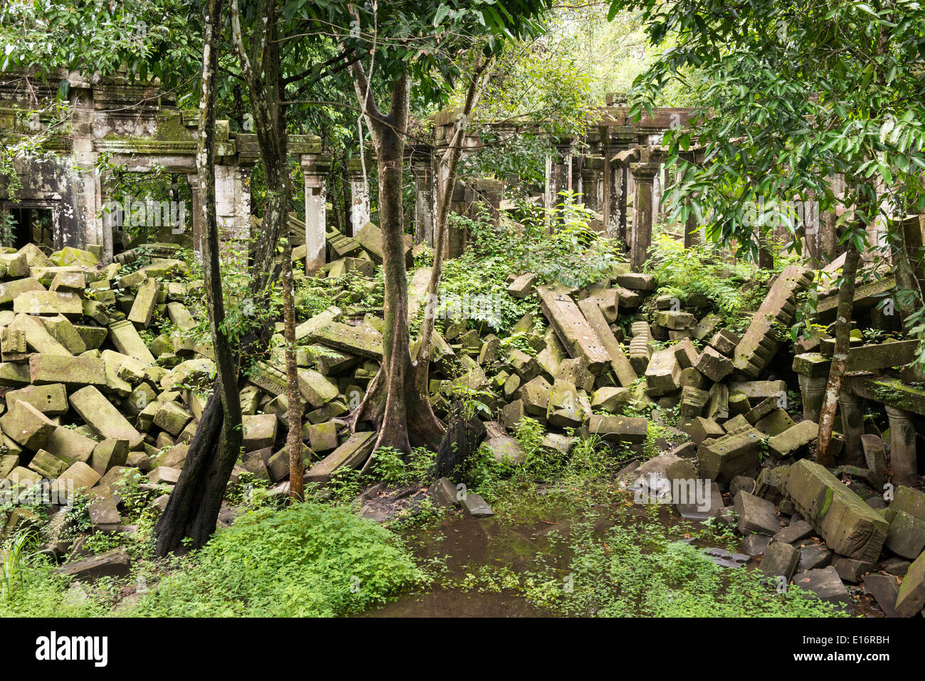 Ruinas de Beng Mealea templo de Angkor, Siem Reap, Camboya Foto de stock