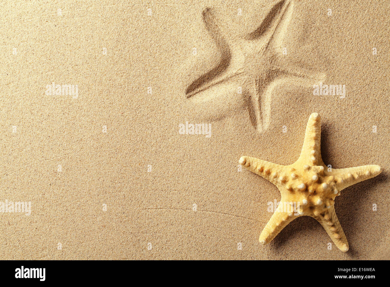 Seashell con huella en la arena de la playa Foto de stock