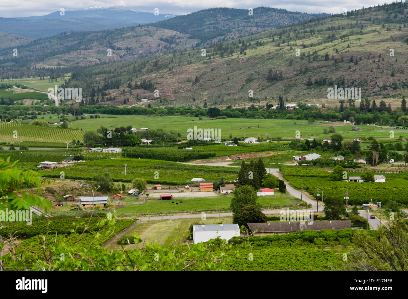Valle Okanagan, cerca de Oliver, British Columbia, Canadá. Una zona