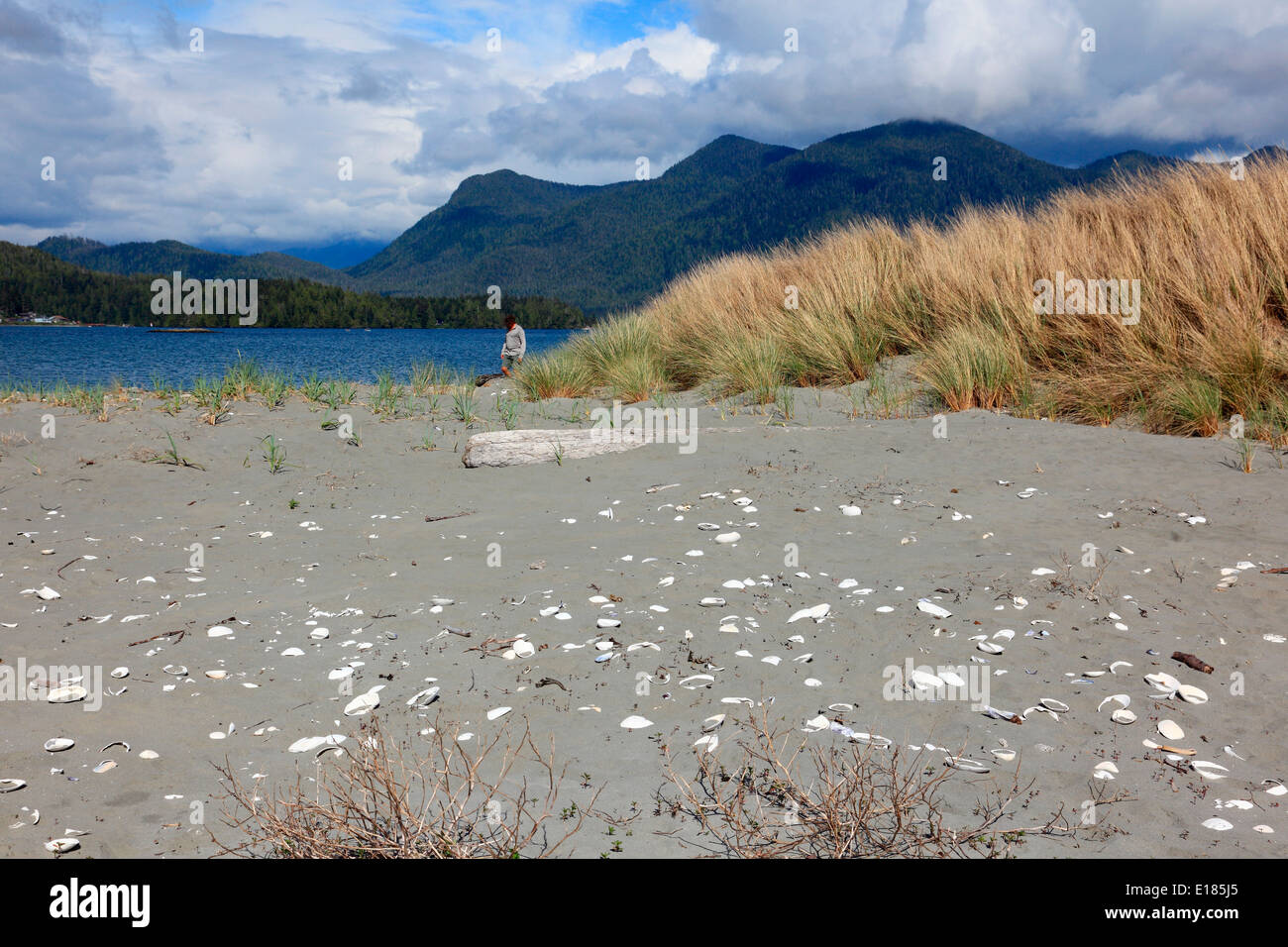 Isla de clayoquot preservar Foto de stock