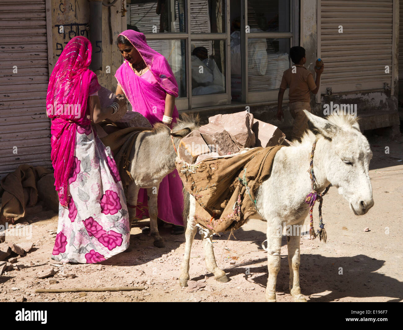 La India, Rajastán, Jodhpur, mujeres de coloridos saris cargando burros con bloques de piedra Foto de stock