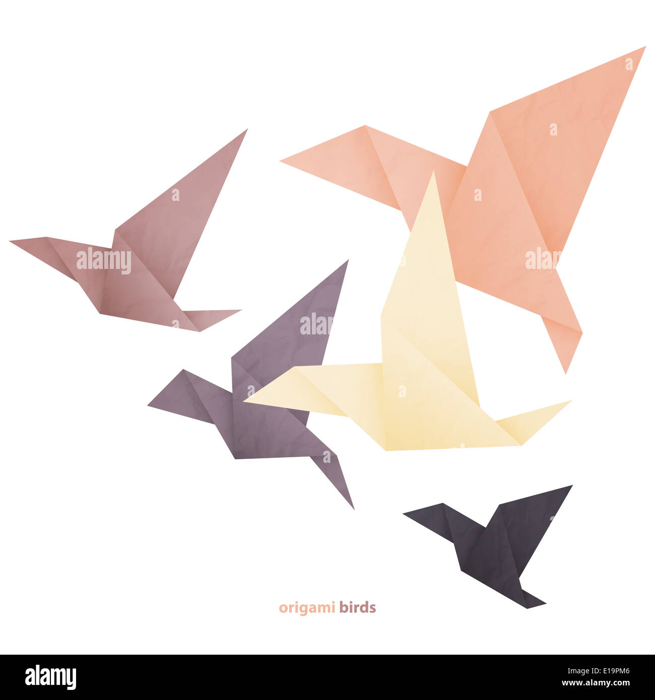 Concepto de libertad imagen con cinco aves origami aislado sobre fondo blanco. Foto de stock