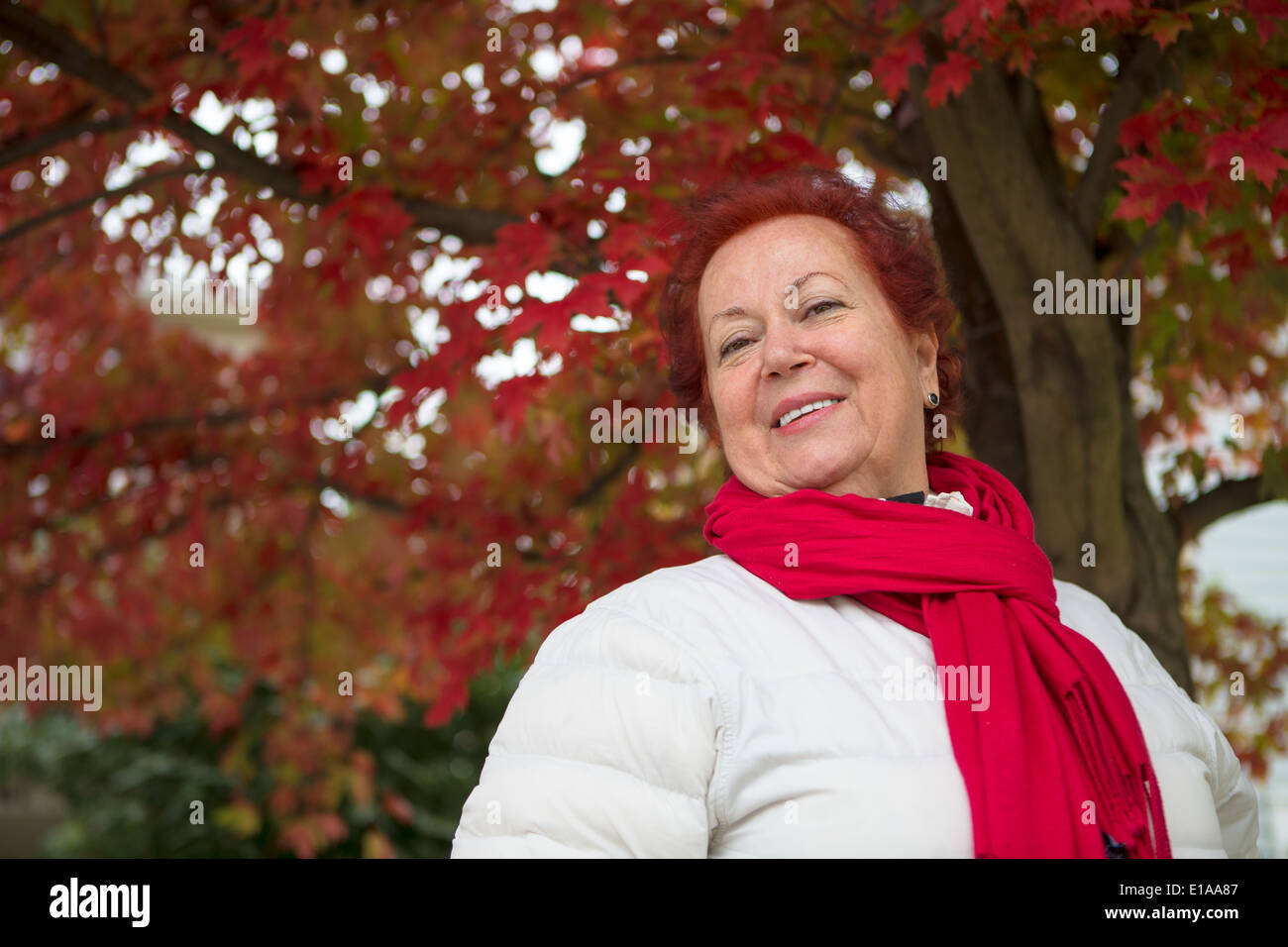 Cabello rojo dama senior bajo el árbol con hojas rojas mira felizmente con su pañuelo rojo y blanco escudo Foto de stock