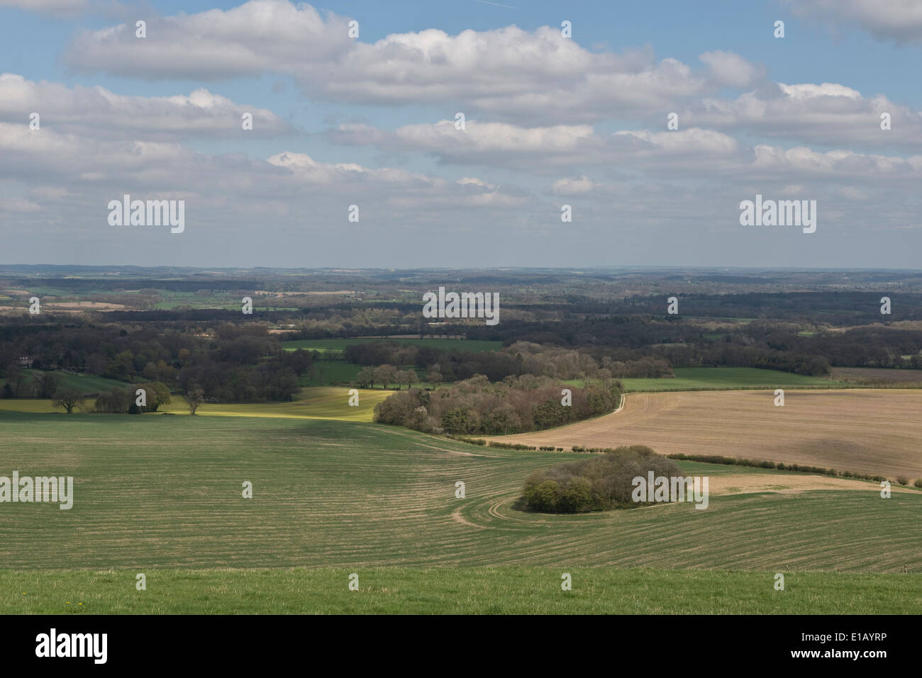 West Berkshire, campo y tierras de cultivo desde el interior cerca de Combe en un buen día de primavera Foto de stock