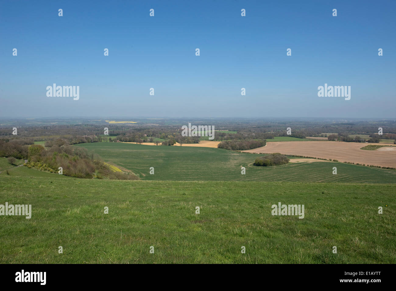 West Berkshire, campo y tierras de cultivo desde el interior cerca de Combe en un buen día de primavera Foto de stock