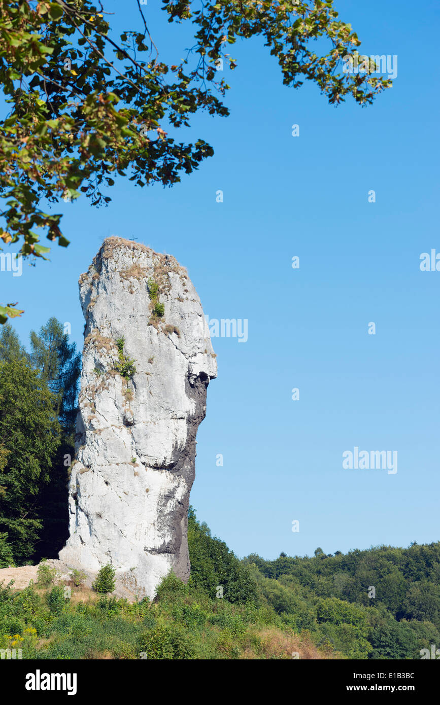 Europa, de Polonia, de Malopolska, parque nacional de Ojców, Hercules Club, Maczuga Herkulesa, pilar de piedra caliza Foto de stock
