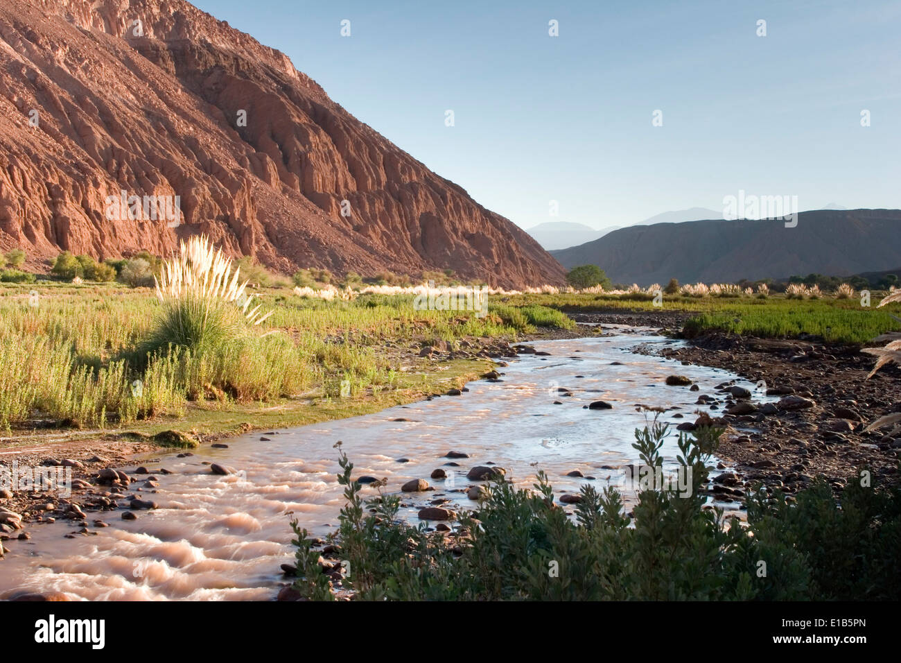 rio-san-pedro-valle-de-catarpe-cerca-de-san-pedro-de-atacama-chile-e1b5pn.jpg