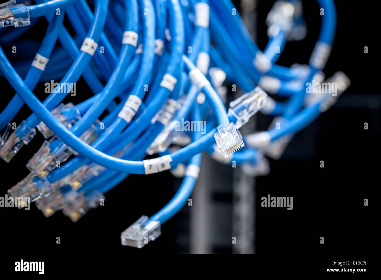 Gran grupo de desconectados los cables de Internet azul Foto de stock