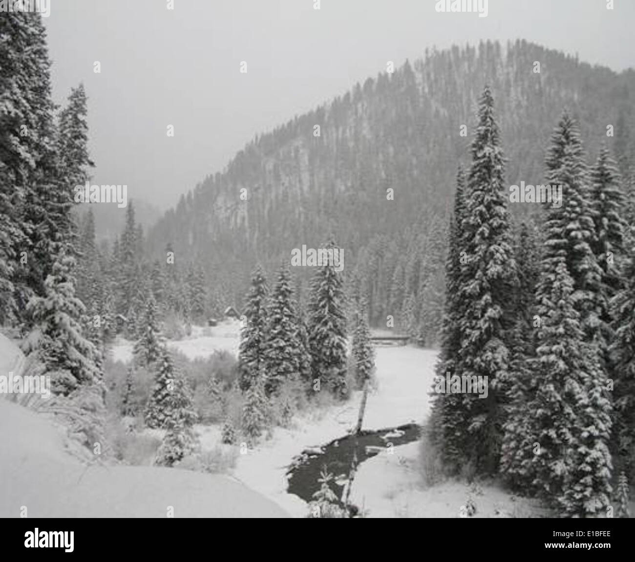 Entorno cubierto de nieve Foto de stock