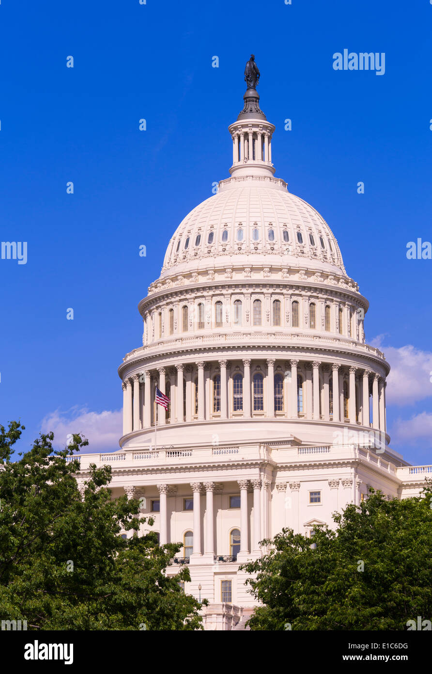 La cúpula del edificio del Capitolio en el Congreso en Washington DC, EE.UU. Foto de stock