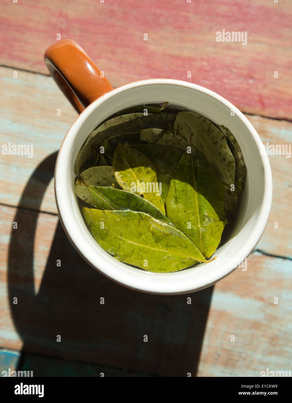 Las hojas de coca en agua caliente para hacer té de coca; la cual es